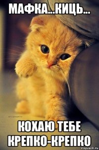 мафка...киць... кохаю тебе крепко-крепко