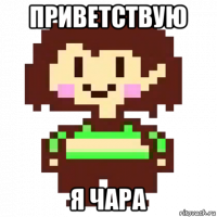 приветствую я чара