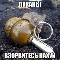пуканы взорвитесь нахуй