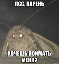 псс, парень хочешь поймать меня?