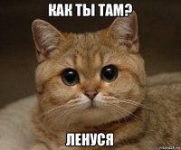 как ты там? ленуся