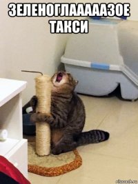 зеленоглааааазое такси 