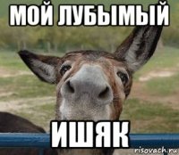 мой лубымый ишяк