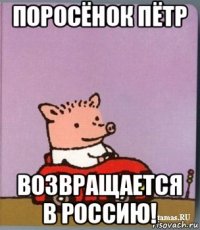 поросёнок пётр возвращается в россию!