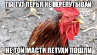 ты тут перья не перепутывай не той масти петухи пошли