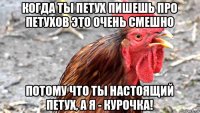 когда ты петух пишешь про петухов это очень смешно потому что ты настоящий петух, а я - курочка!
