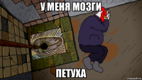 у меня мозги петуха