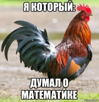 я который: думал о математике