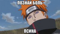 познай боль псина