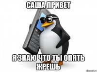 саша привет я знаю что ты опять жрешь