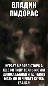 владик пидорас играет в бравл старс а ещё он пидр ебаный сука шлюха ебаная и тд также мать он не чекает сучка ебаная