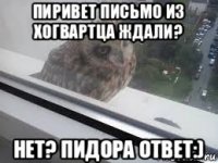 пиривет письмо из хогвартца ждали? нет? пидора ответ:)
