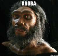 aboba 