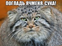 погладь ячменя, сука! 