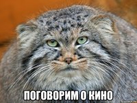  поговорим о кино
