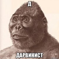 д дарвинист