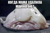 когда мама удалила майнкрафт 