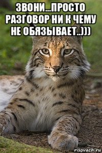 звони...просто разговор ни к чему не обязывает..))) 