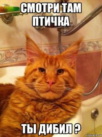 смотри там птичка ты дибил ?
