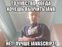 то чувство, когда хочешь выучить java нет! лучше javascript!