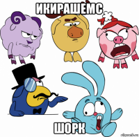 икирашемс шорк