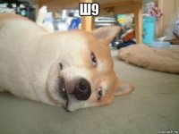 ш9 