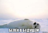  белёк в будущем