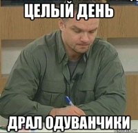 целый день драл одуванчики