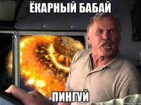 ёкарный бабай пингуй