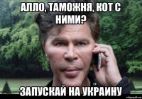 алло, таможня, кот с ними? запускай на украину