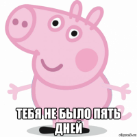  тебя не было пять дней