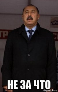  не за что