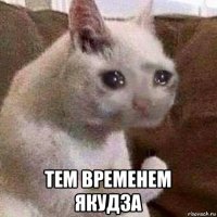  тем временем якудза