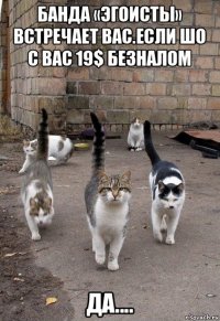 банда «эгоисты» встречает вас.если шо с вас 19$ безналом да....