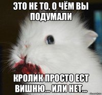 это не то, о чём вы подумали кролик просто ест вишню... или нет...
