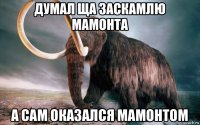 думал ща заскамлю мамонта а сам оказался мамонтом