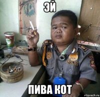 эй пива кот