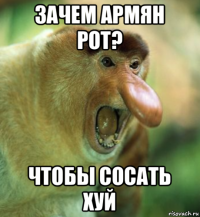 зачем армян рот? чтобы сосать хуй