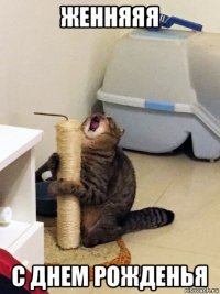 женняяя с днем рожденья