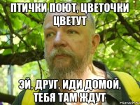 птички поют, цветочки цветут эй, друг, иди домой, тебя там ждут