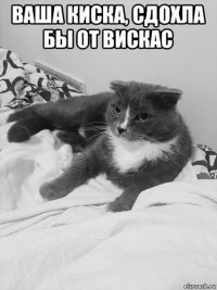 ваша киска, сдохла бы от вискас 