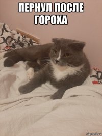 пернул после гороха 