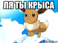 ля ты крыса 