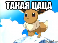 такая цаца 