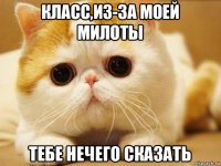 класс,из-за моей милоты тебе нечего сказать