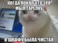 когда понял что зря мыл тарелку в шкафу была чистая