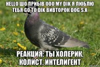 hello шо прибів ooo my dik я люблю тебя go to dik вивторок dog s.x реакция: ты холерик, колист, интелигент