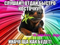 слушай!! отдай быстро косточку!! иначе ща как будет!