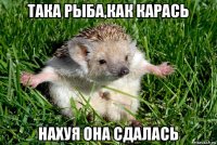 така рыба,как карась нахуя она сдалась