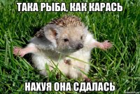 така рыба, как карась нахуя она сдалась